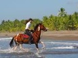 Beach Riding Adventure Near Jaco