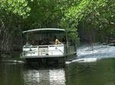 Black River Safari and YS Falls Tour from Montego Bay