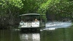 Black River Safari and YS Falls Tour from Montego Bay