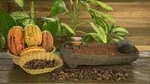 Class II-III Rafting and Chocolate Tour from La Fortuna