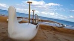 Hawaiian Outrigger Canoe Cultural and Turtle Tour