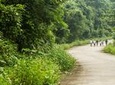 Day Trip to Cuc Phuong National Park from Hanoi