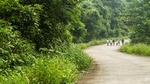 Day Trip to Cuc Phuong National Park from Hanoi