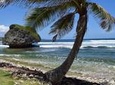Explore and Discover Barbados Tour with Boat Cruise