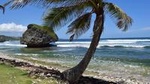 Explore and Discover Barbados Tour with Boat Cruise
