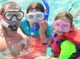 Small Group Snorkeling, Sharks & Rays Encounter At Punta Cana