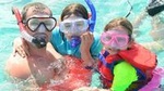 Small Group Snorkeling, Sharks & Rays Encounter At Punta Cana