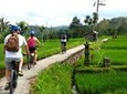 Half-Day Electric Bike Tour of Ubud