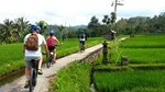 Half-Day Electric Bike Tour of Ubud