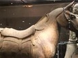 Half-Day Private Tour of Xi'an Terracotta Warriors and Horses Museum