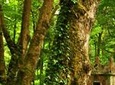Half Day Private Tour: Sintra and Beaches
