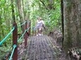 Hiking Lovers (Hanging Bridges + La Fortuna Waterfall + Volcano Hike)
