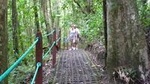 Hiking Lovers (Hanging Bridges + La Fortuna Waterfall + Volcano Hike)