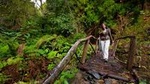 Hiking to Salto do Prego in Faial da Terra - full day
