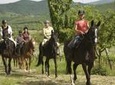 Horse Riding in Tuscany for Experienced Riders: Full-day Trail Ride