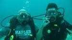 Scuba Diving for Non-Certified Divers at Catalina Islands & North Island - CR