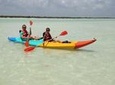 Kayaking Tour Through the Mangroves in Isla Holbox