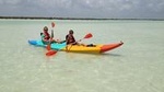 Kayaking Tour Through the Mangroves in Isla Holbox