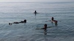 Dead Sea Private Day Trip and Lunch from Amman