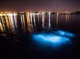 Luminous Lagoon Tour from Montego Bay