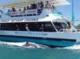 Mandurah Dolphin and Scenic Canal Cruise