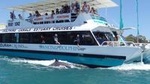 Mandurah Dolphin and Scenic Canal Cruise