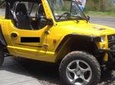 Moorea Mini Jeep Roadster Rental