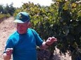 Private Wine Tour of Northern Israel 