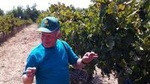 Private Wine Tour of Northern Israel 