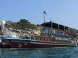 Private Half-Day Blue Dragon Yacht for Snorkeling Koh Tan & Visit Pig Island