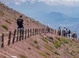 Pompeii Skip-The-Line and Mt Vesuvius with Lunch&WineTasting from Naples Port
