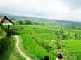 Private Full Day Tour: Best UNESCO Sites in Bali
