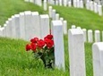 Private Tour of Washington DC War Memorials and Heros by Van