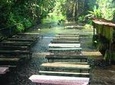 Private Tour: Villa Escudero with Lunch from Manila