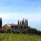 Private San Gimignano Winery Tour with Wine and Olive Oil Tasting