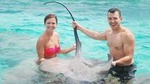 Great Sea Adventures: Parasailing, Snorkel Cruise, Sharks & Stingrays Encounter
