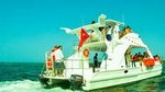 Half-Day Punta Cana Private Catamaran: Snorkeling, Natural Pool and Virgen Beach