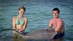 Small Group Snorkeling, Sharks & Stingrays Encounter by boat