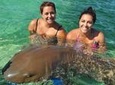 Full-Day Adventure: 4x4 Experience, Snorkeling Cruise, Sharks & Rays