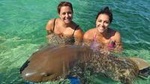Full-Day Adventure: 4x4 Experience, Snorkeling Cruise, Sharks & Rays
