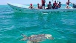 Sian Ka'an Adventure from Tulum 