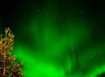 Northern Lights Hunt Including Snacks on Campfire from Rovaniemi