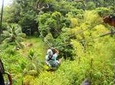 Trinidad Zipline Adventure