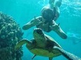 West Maui Half-Day Snorkeling Adventure from Ka’anapali Beach