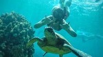 West Maui Half-Day Snorkeling Adventure from Ka’anapali Beach