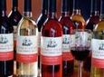 Wine and Wine Jelly-Sauce Tasting on Plymouth Bay