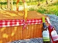 Wine Tasting & Picnic at Quinta de Santa Cristina Vinho Verde Wine Estate
