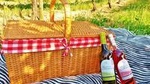 Wine Tasting & Picnic at Quinta de Santa Cristina Vinho Verde Wine Estate