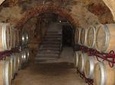 Wineries Day Tour from Madrid with hotel pickup and lunch