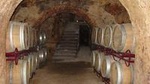 Wineries Day Tour from Madrid with hotel pickup and lunch